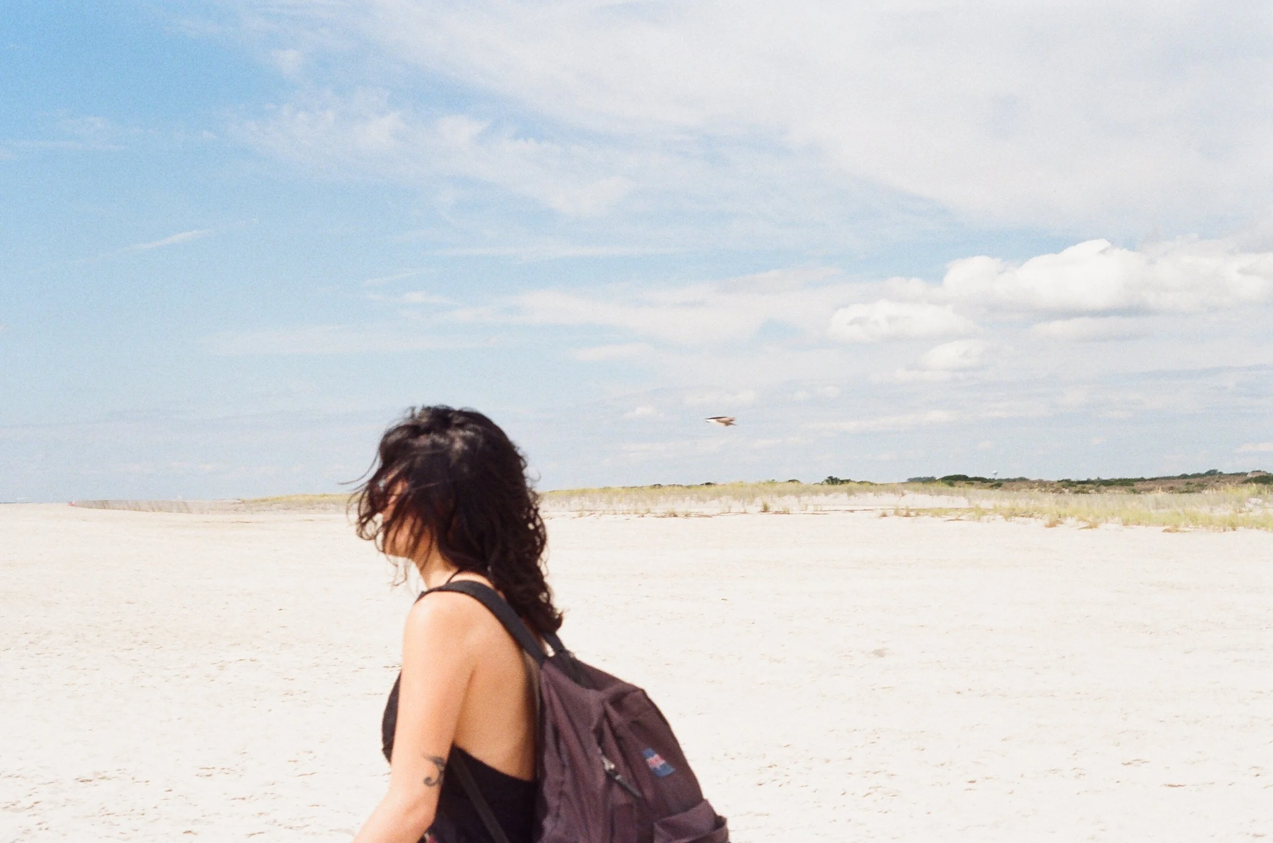 10600030.JPG