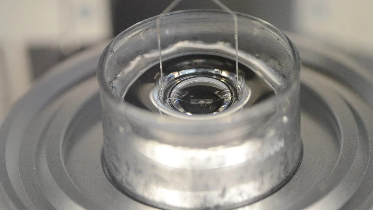 Alkali-metal anodes