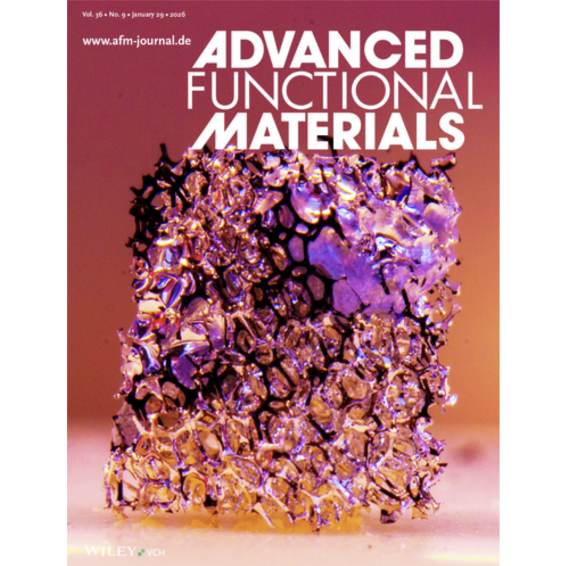 Cover on Advanced Functional Materials