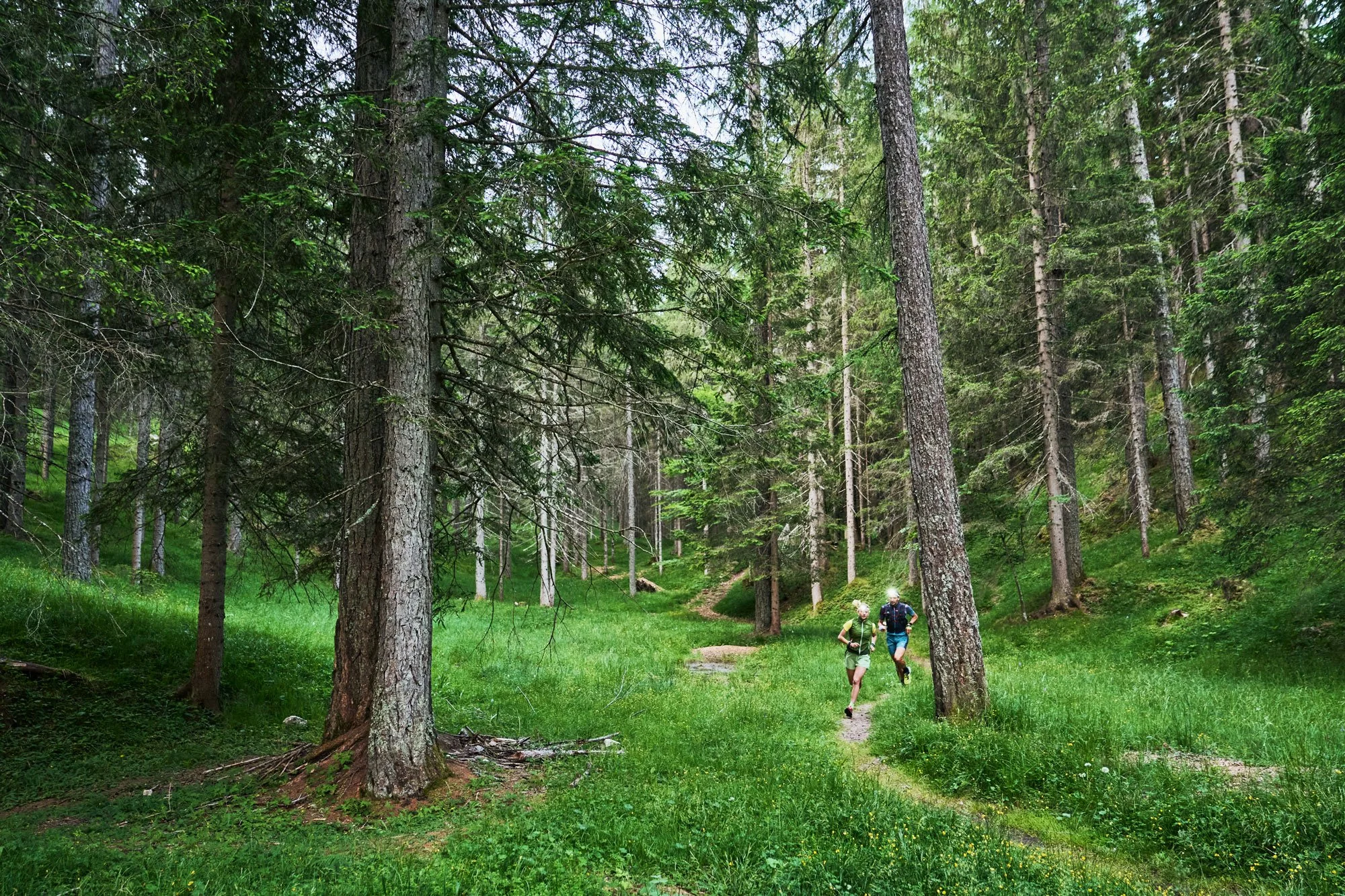 Update 2024_Karpos2.jpg