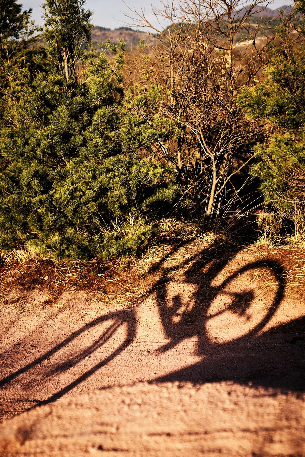 Update 2024_MTB5.jpg