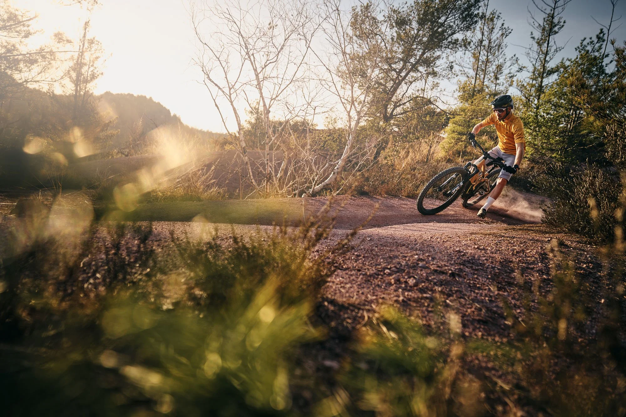 Update 2024_MTB4.jpg