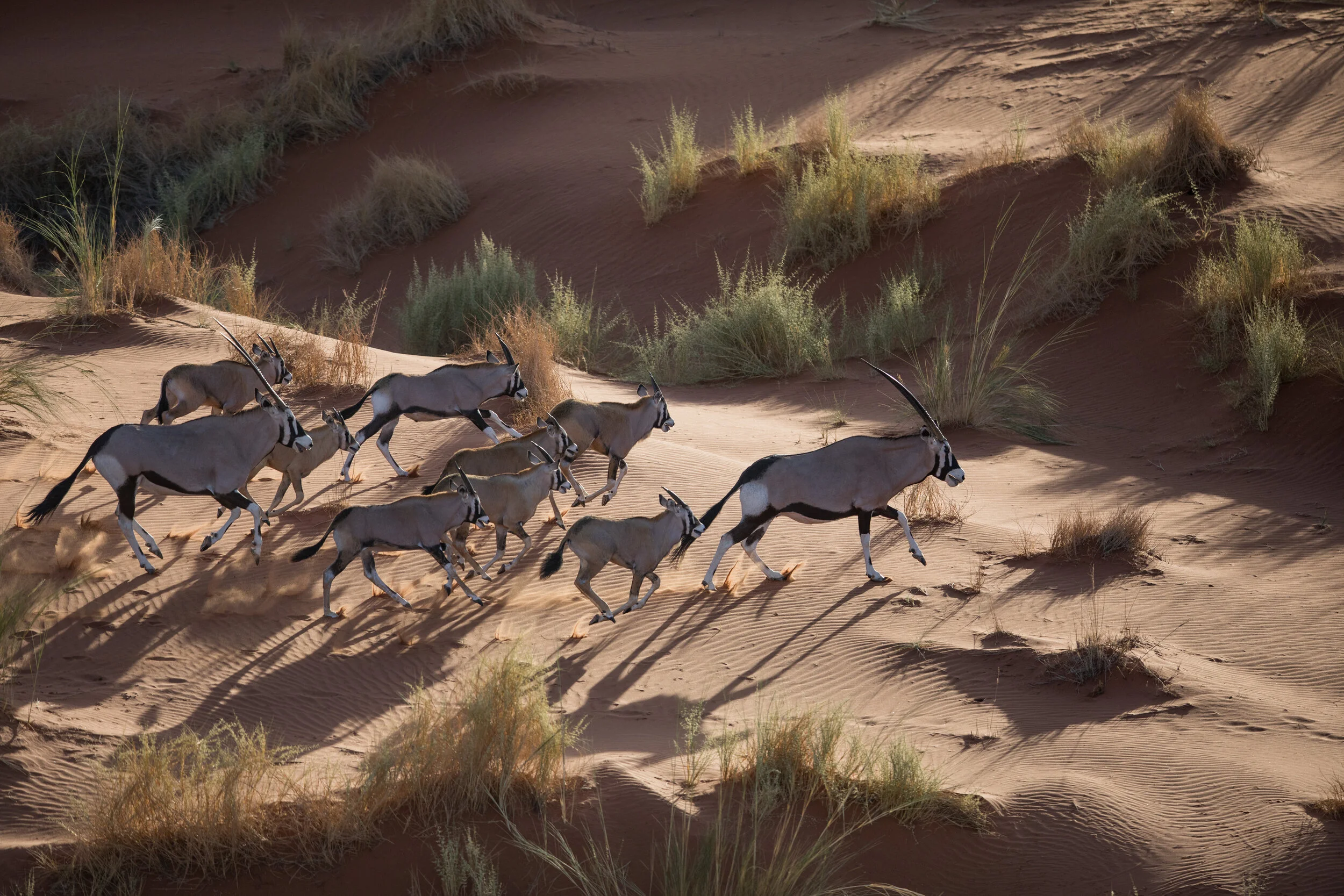 scenic-helicopter-flight-oryx-andbeyond-sossusvlei_1.jpg