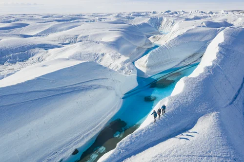 Exclusive Antarctic Tour - Early Emperor Penguins Experience