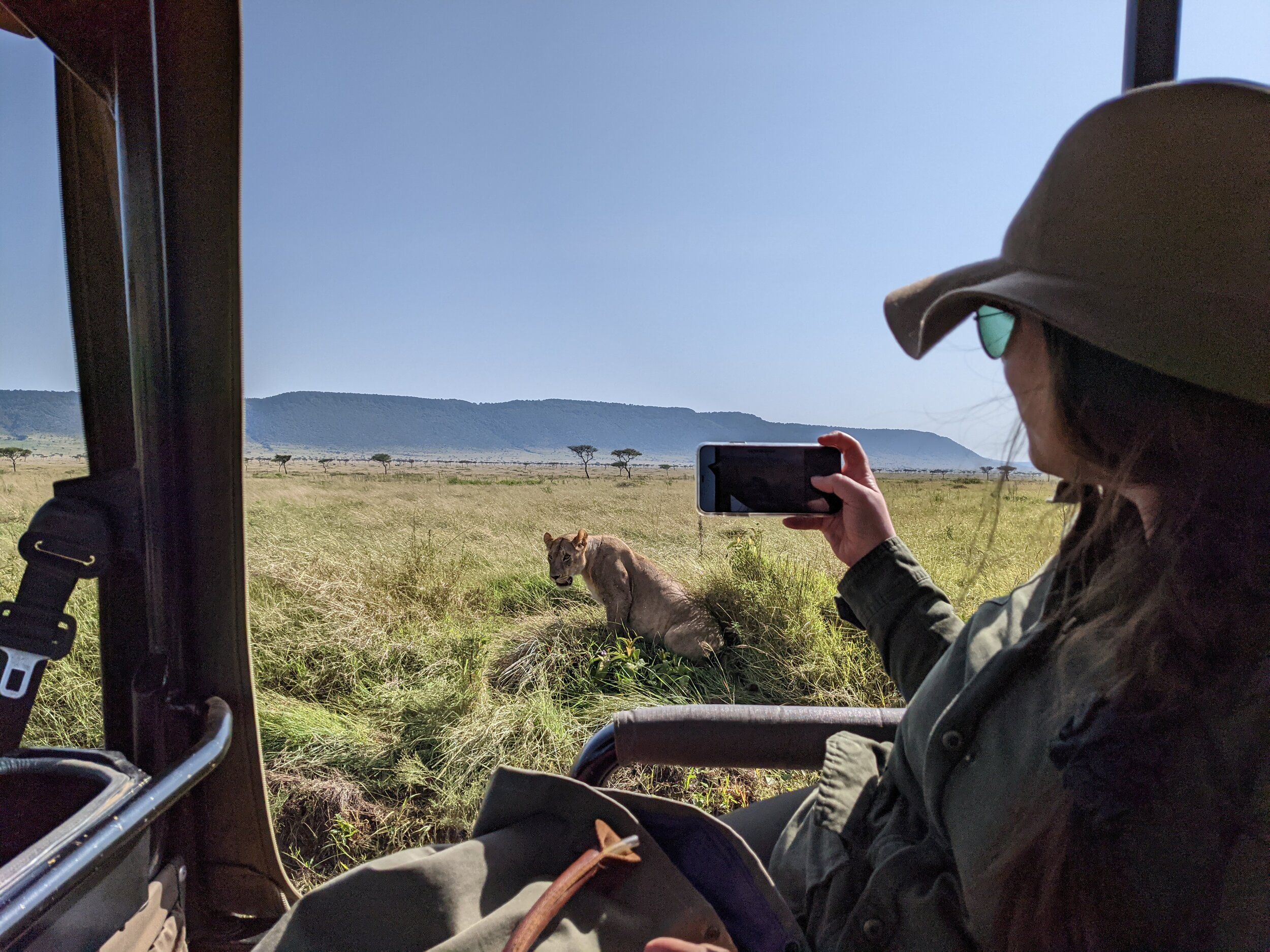  My best friend Katherine and the hunting lioness 