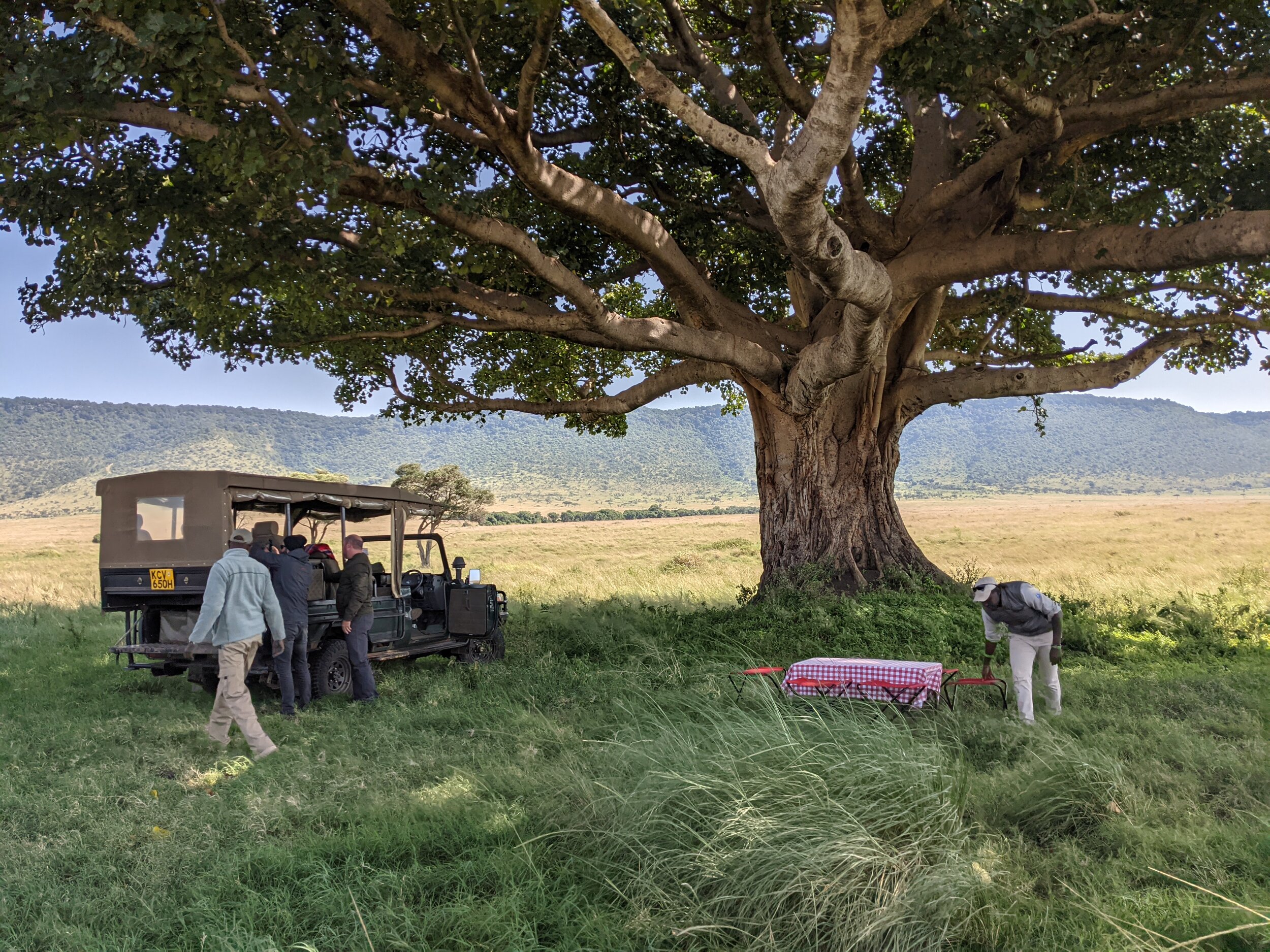  Our delicious picnic brunch under a giant fig tree 