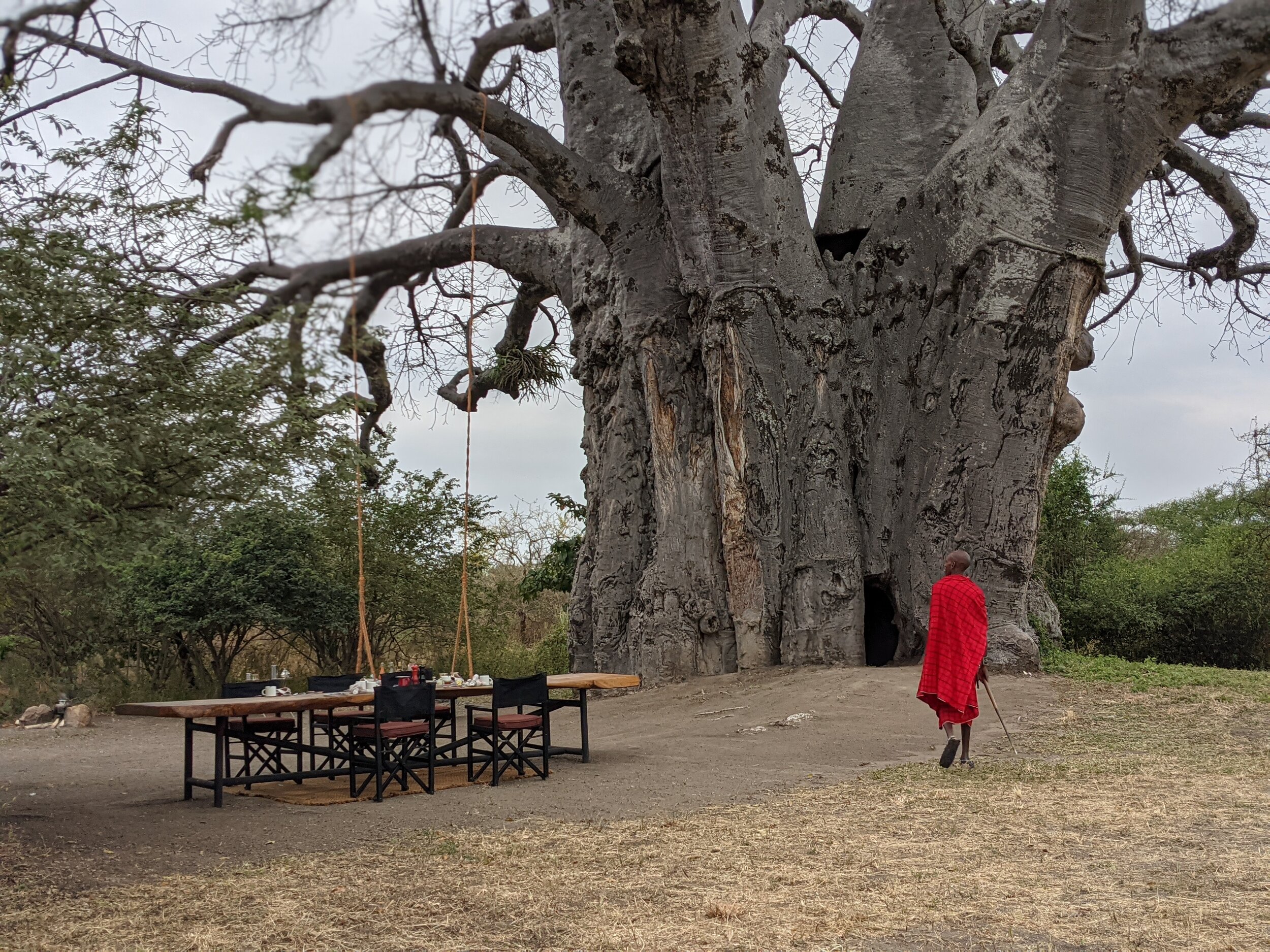  Delicious brunch beside the Baobab tree we climbed into 