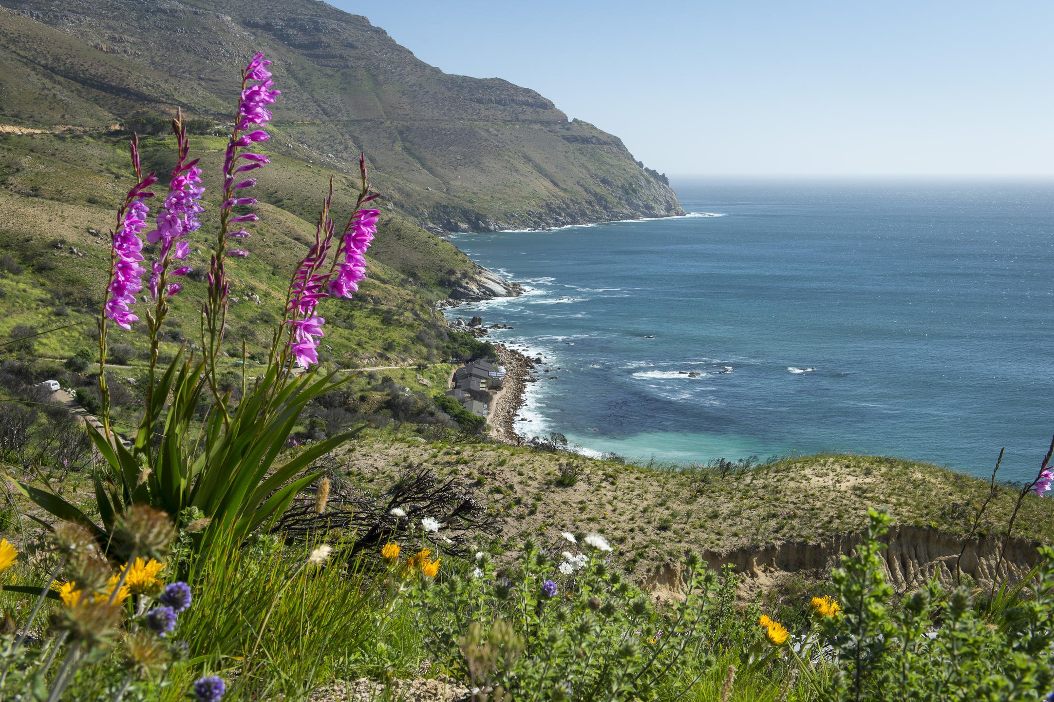 Located within the Table Mountain National Park.jpg