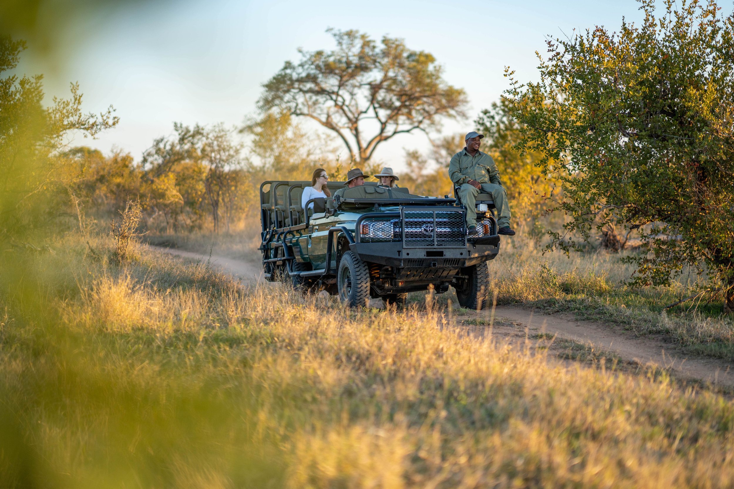 Royal Malewane - Game Drive 1-min.jpg