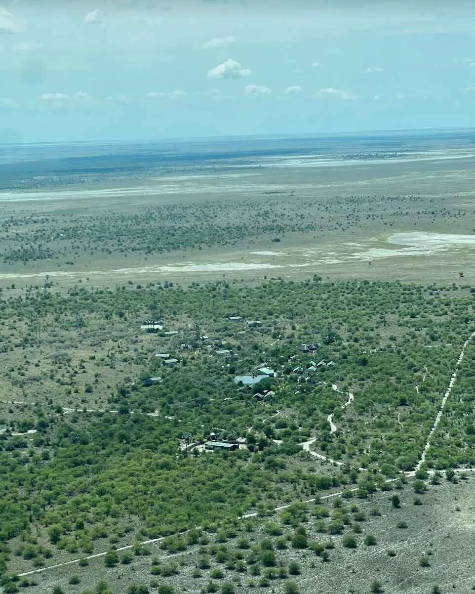 Jack's, a true oasis in the desert!