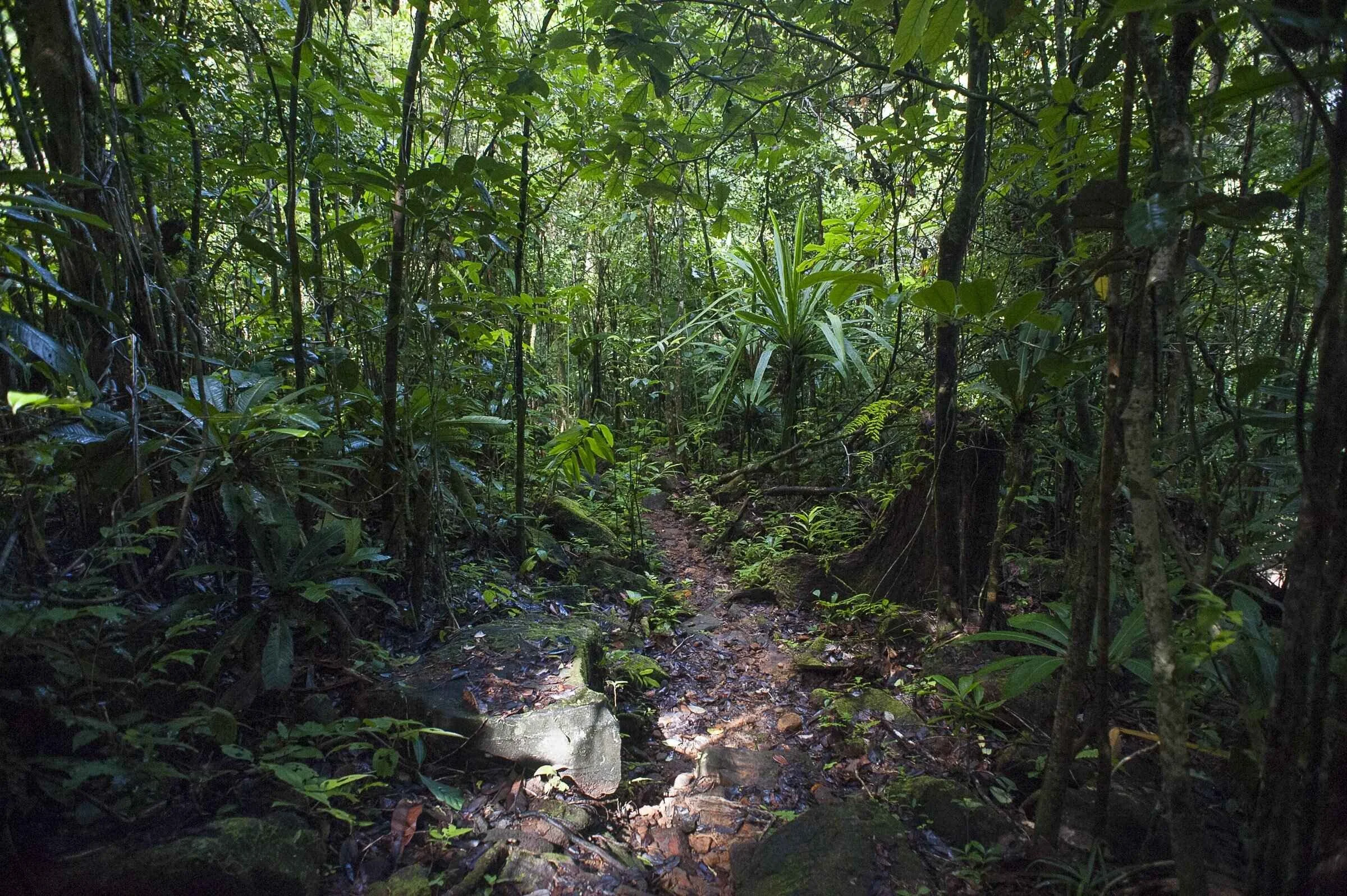 LouiseJasper_landscapes_HR10-min(1).jpg