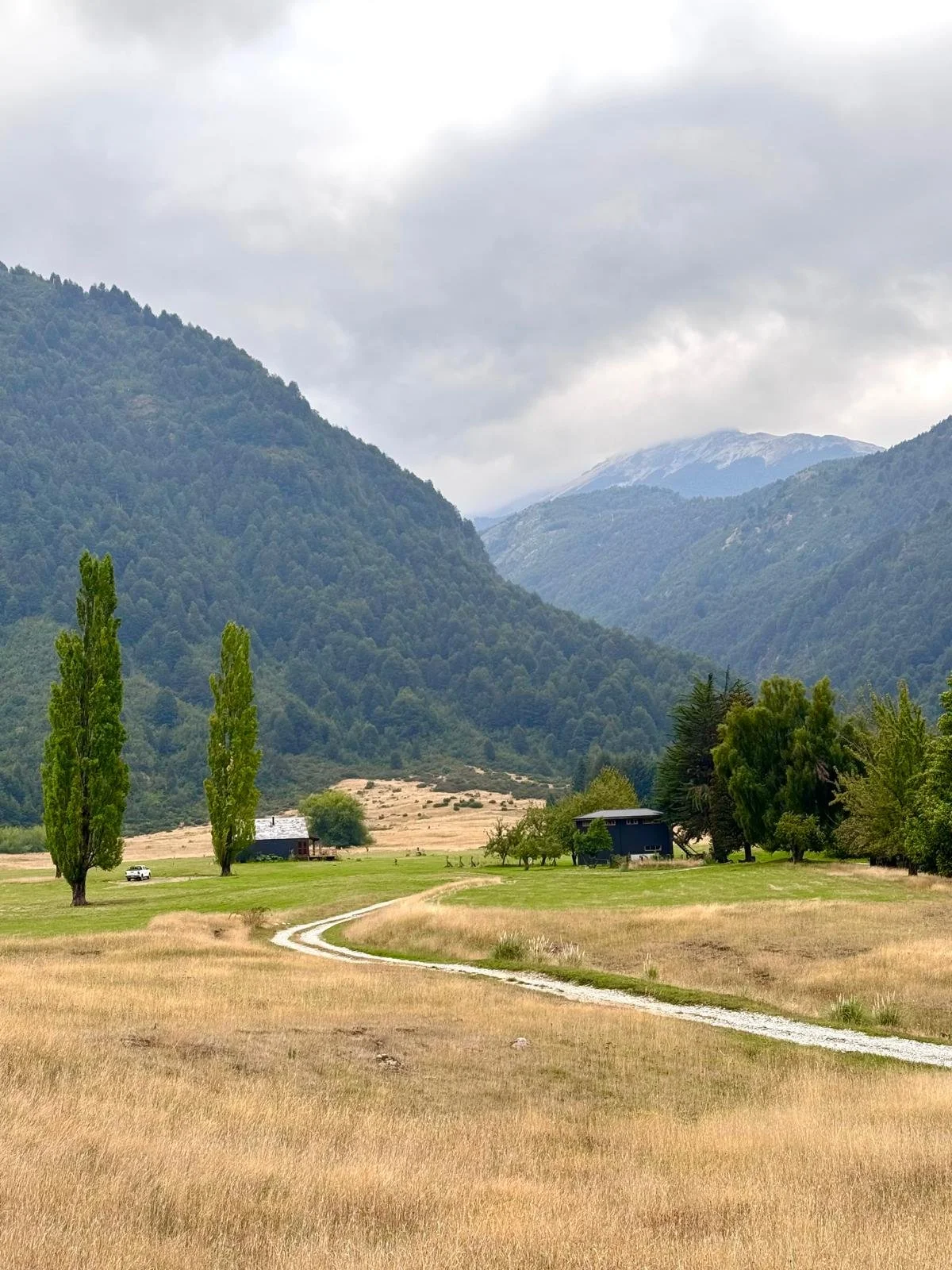 WhatsApp Image 2026-01-05 at 16.15.45 (3).jpeg