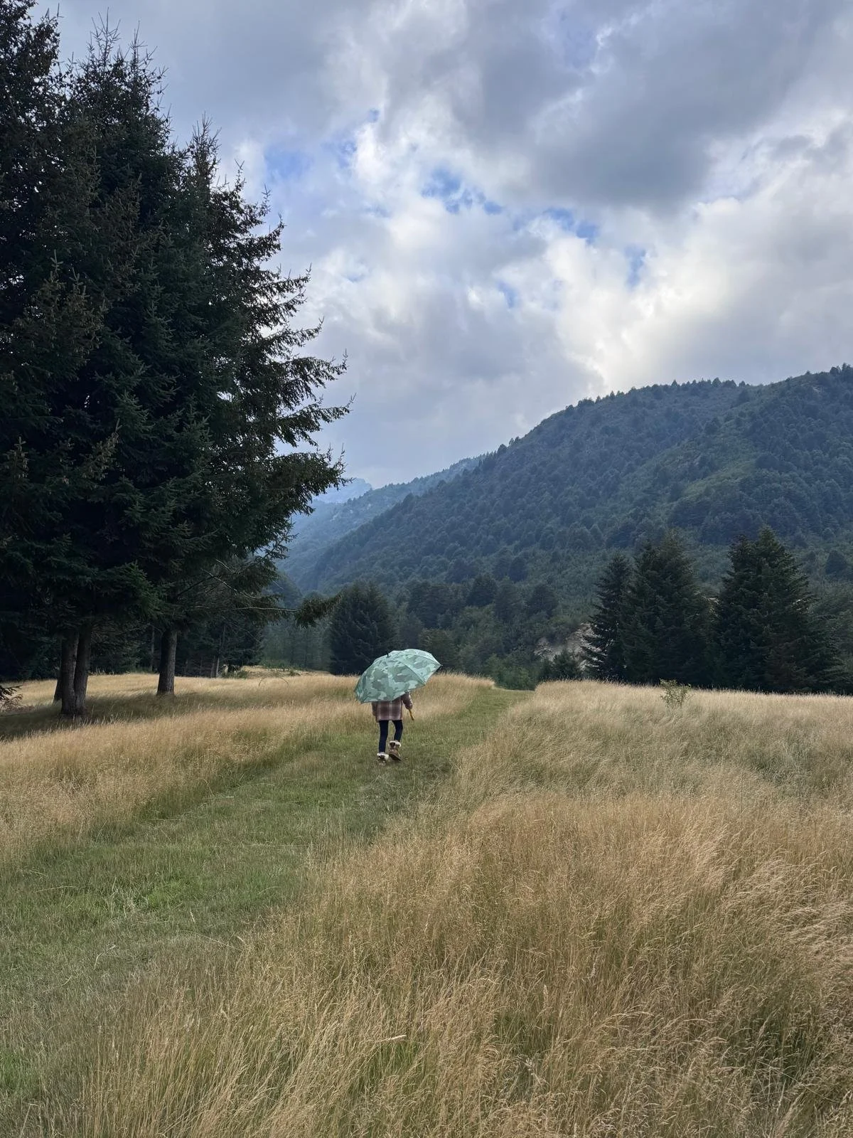 WhatsApp Image 2026-01-05 at 16.15.45 (2).jpeg