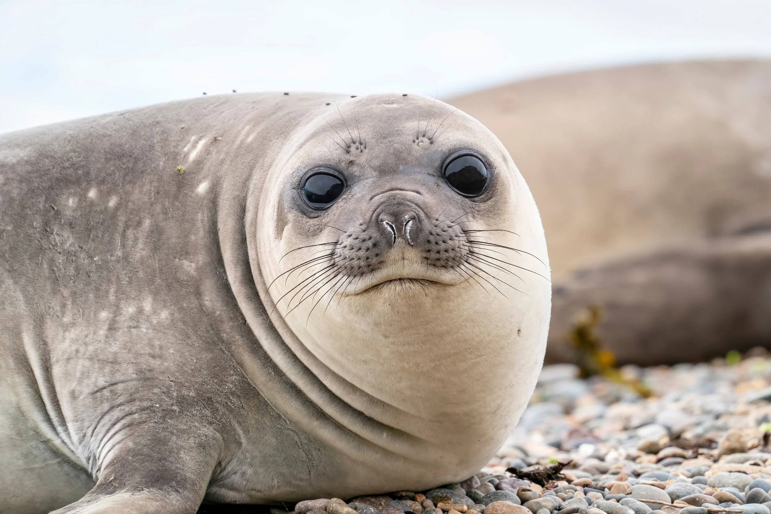 Patagonia In November- Everything to See &amp; Do