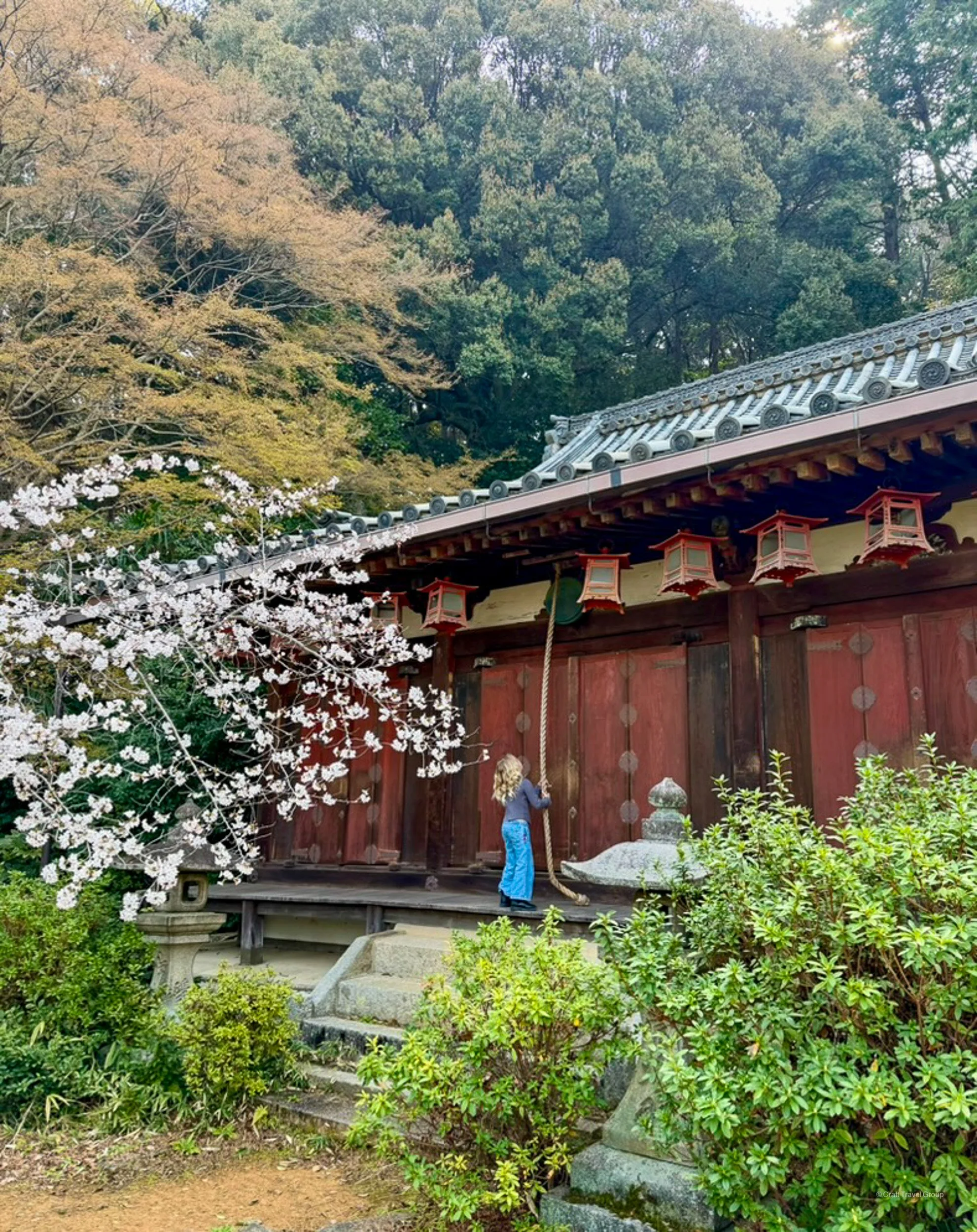 clare-craft-travel-japan-93.jpg