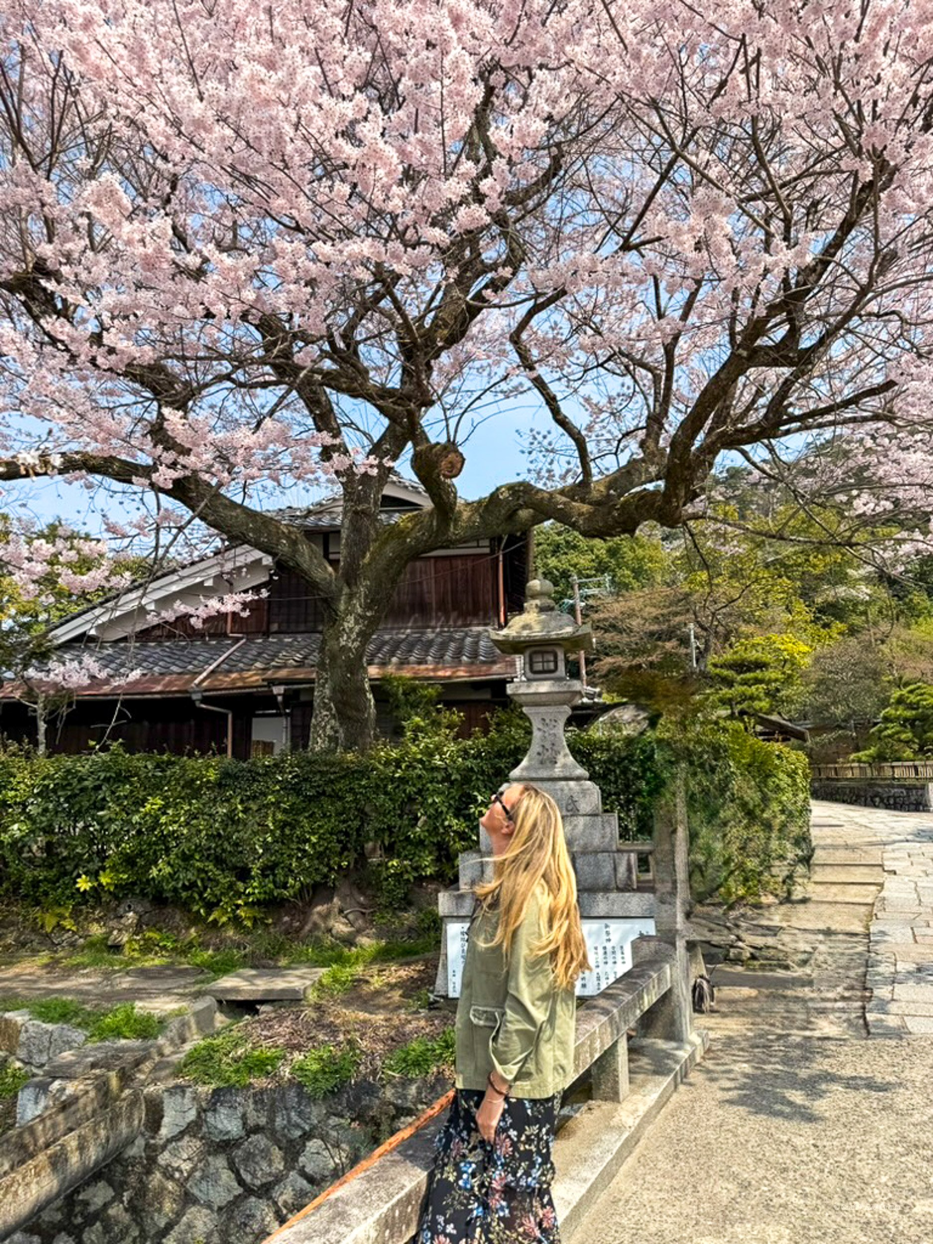 clare-craft-travel-japan-102.jpg