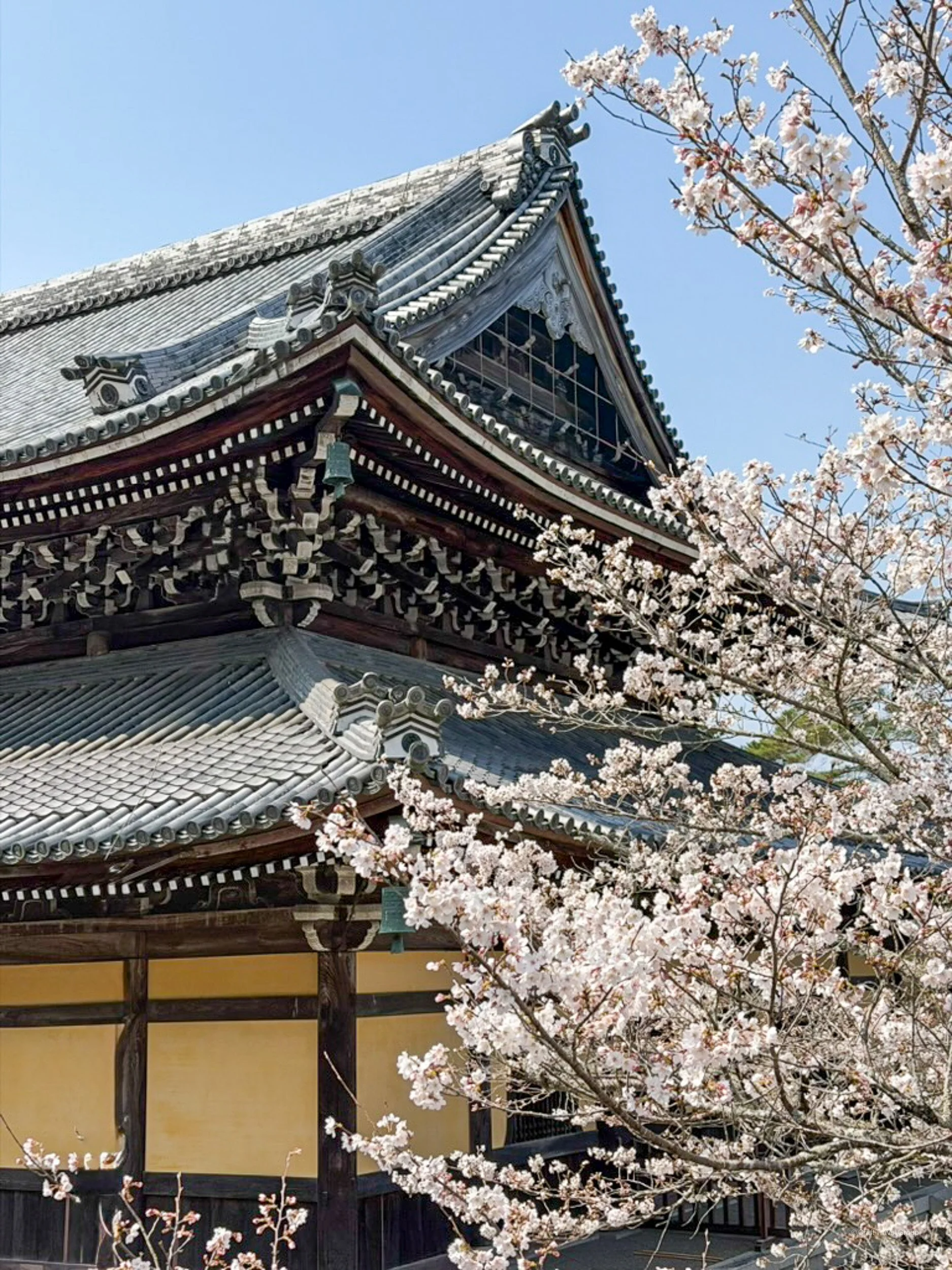 clare-craft-travel-japan-106.jpg