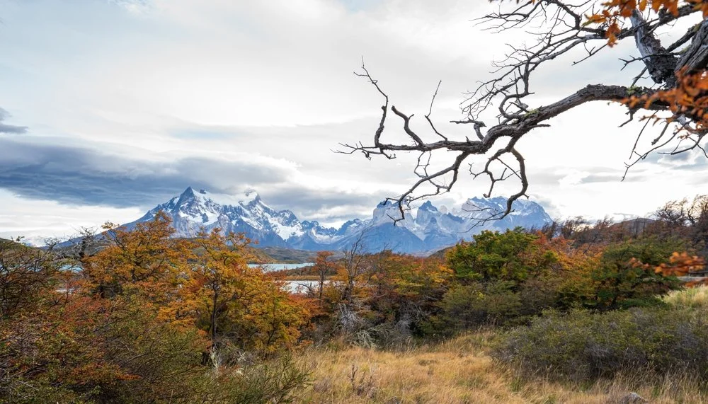 Patagonia in April: Everything To See &amp; Do
