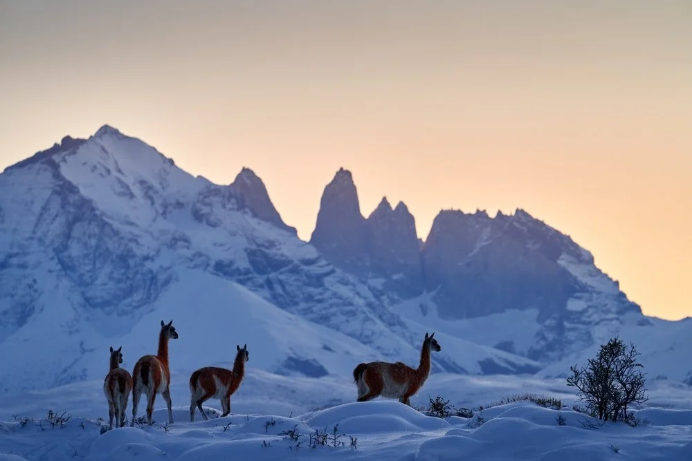 Chile in July: Everything To See &amp; Do