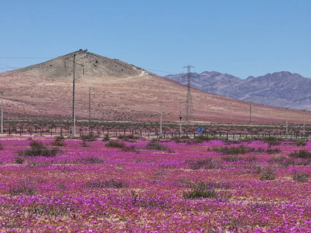 Chile in September: Everything To See &amp; Do