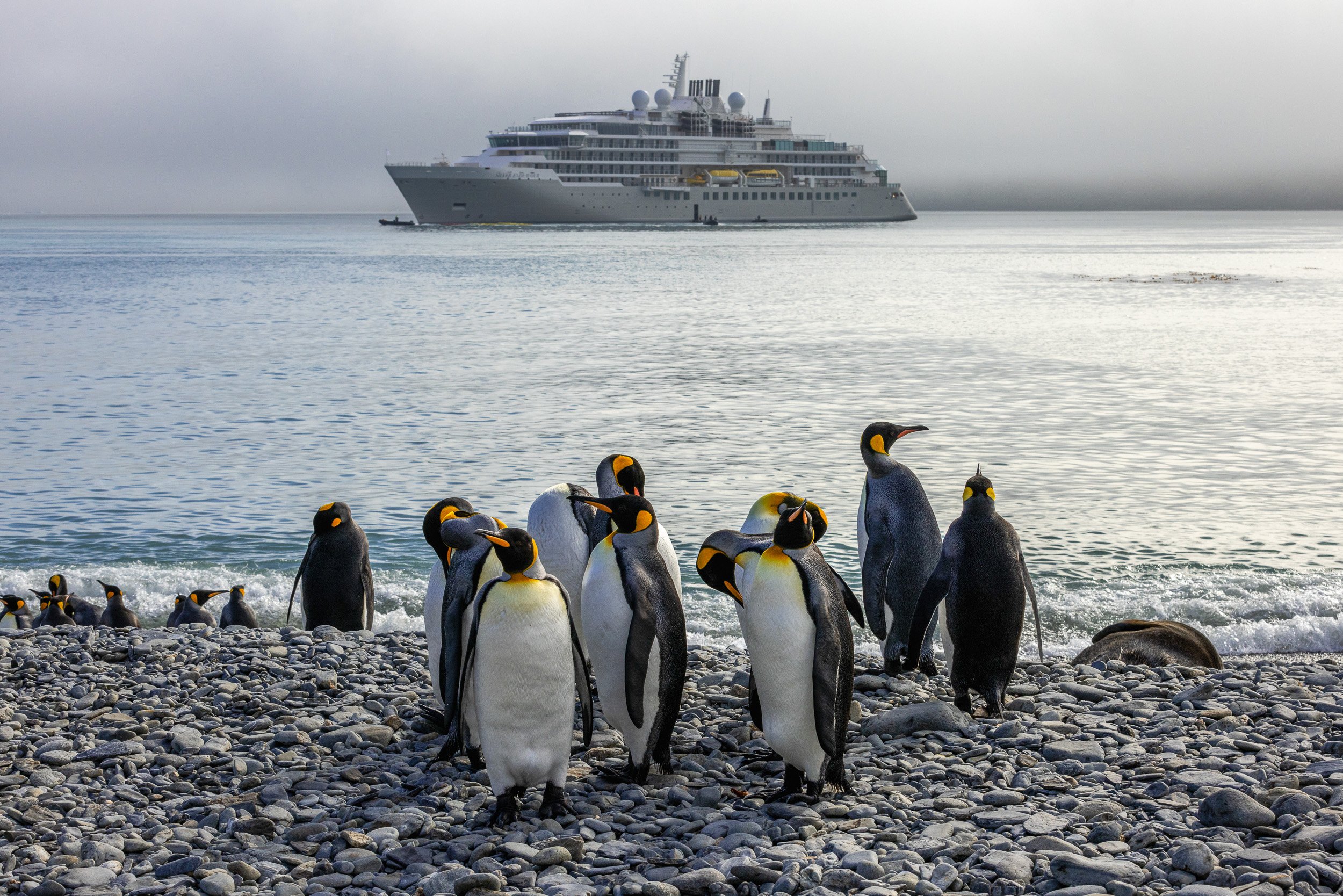 craft-travel-silver-sea-endeavor-05.jpg