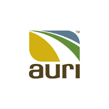 Auri logo