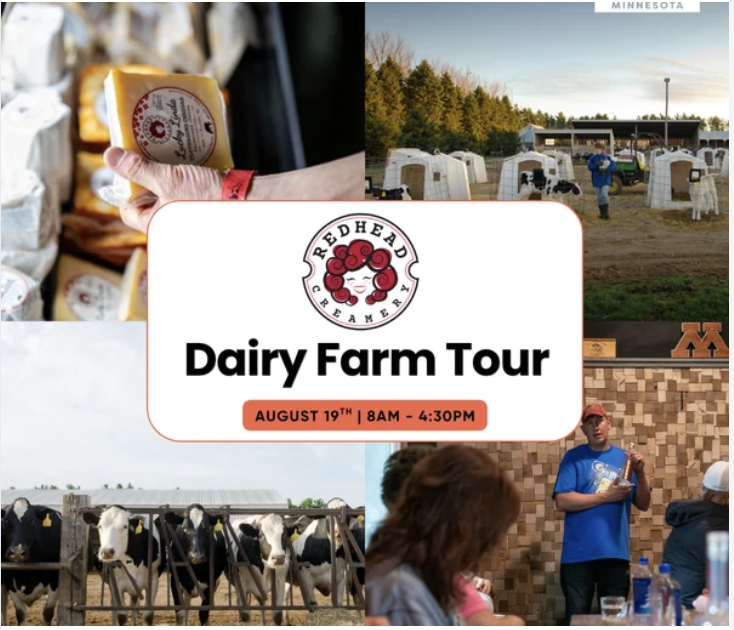 Redhead Creamery Farm Tour