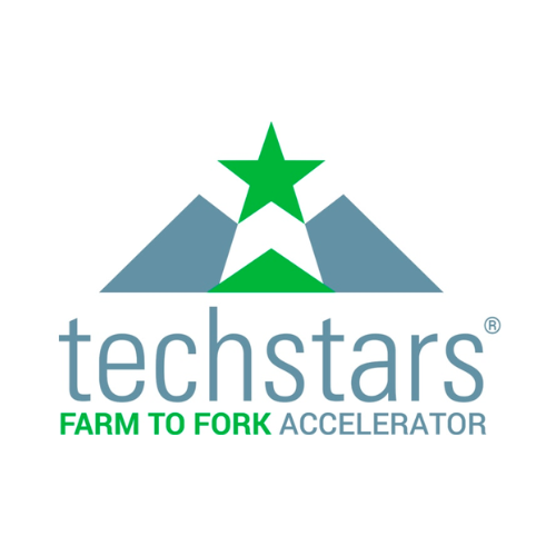Techstars logo