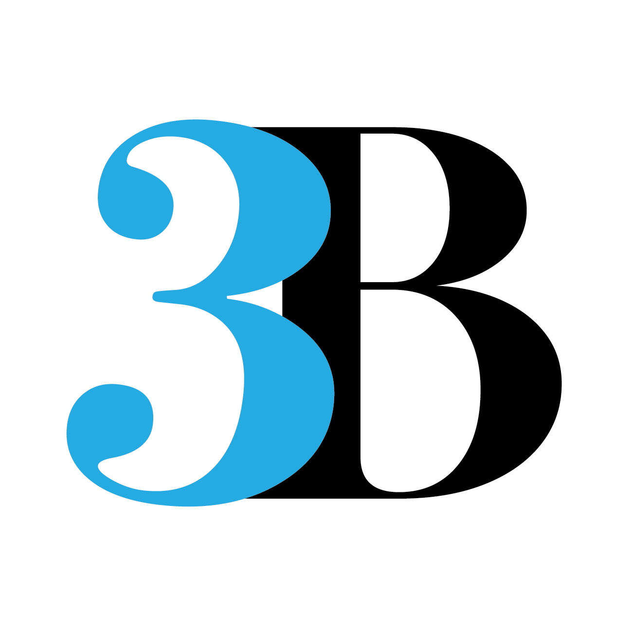 3B logo