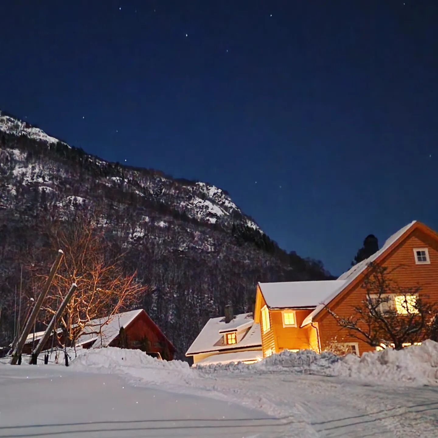 Velkomen til f&oslash;rjulslaurdag 2. desember kl 13-16 i siderhagen!

&Oslash;lmheim siderhage er open! I fleire &aring;r har me, Endre og Sigrid, bygd opp fruktgarden v&aring;r til &aring; verte ein sidergard. Utsalet, siderkjellaren, og det nye si