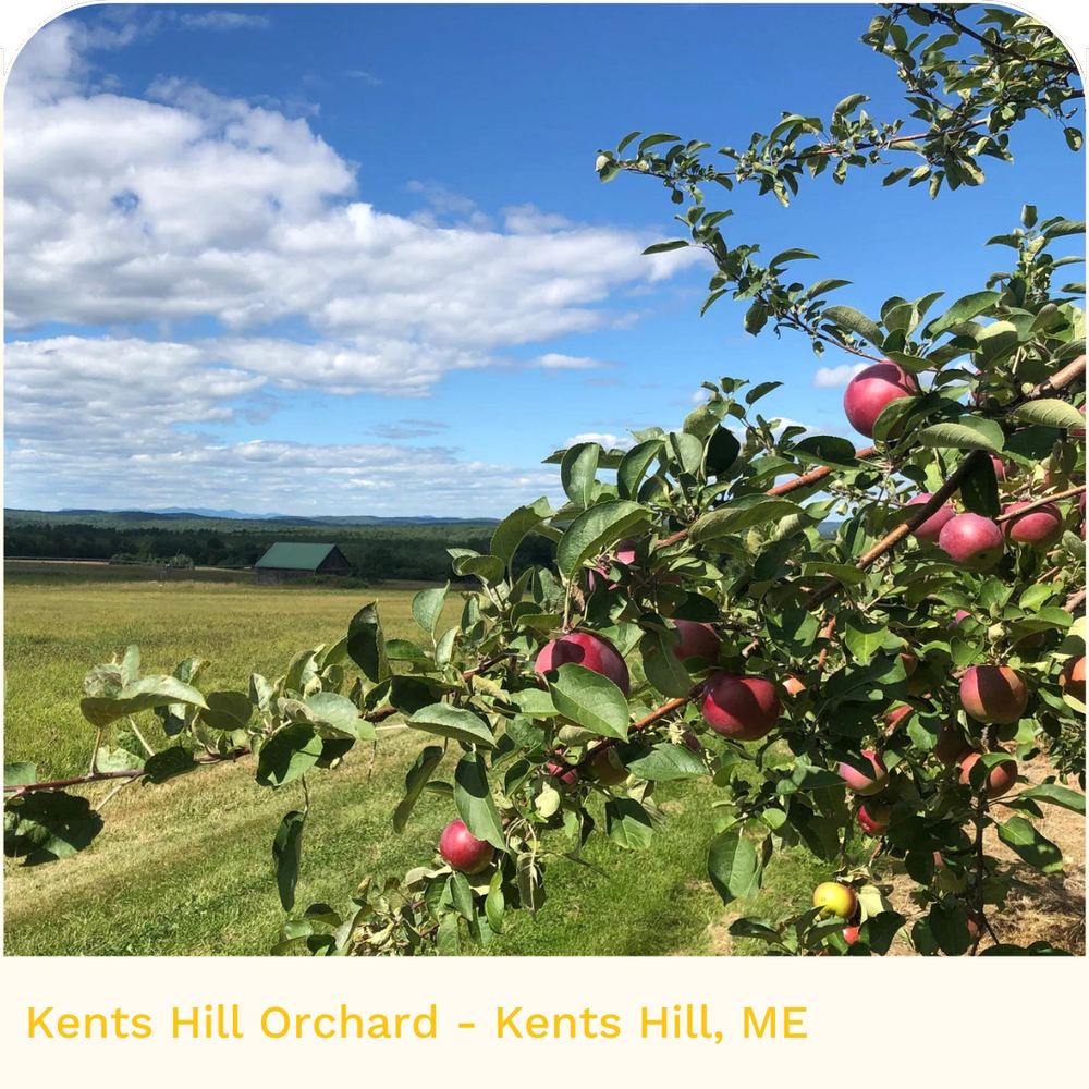 Kents Hill Orchard