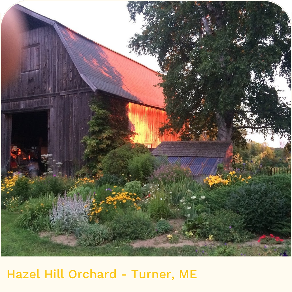 Hazel Hill Orchard