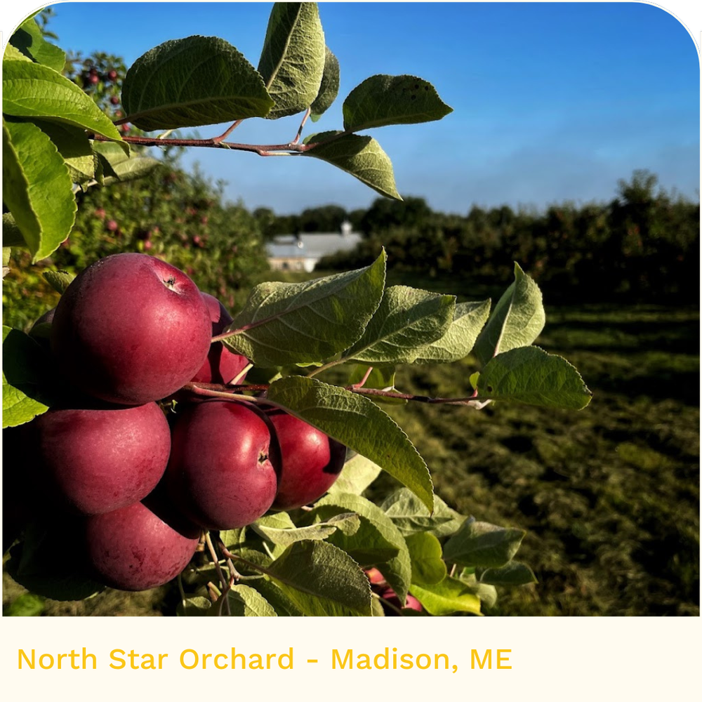 North Star Orchard