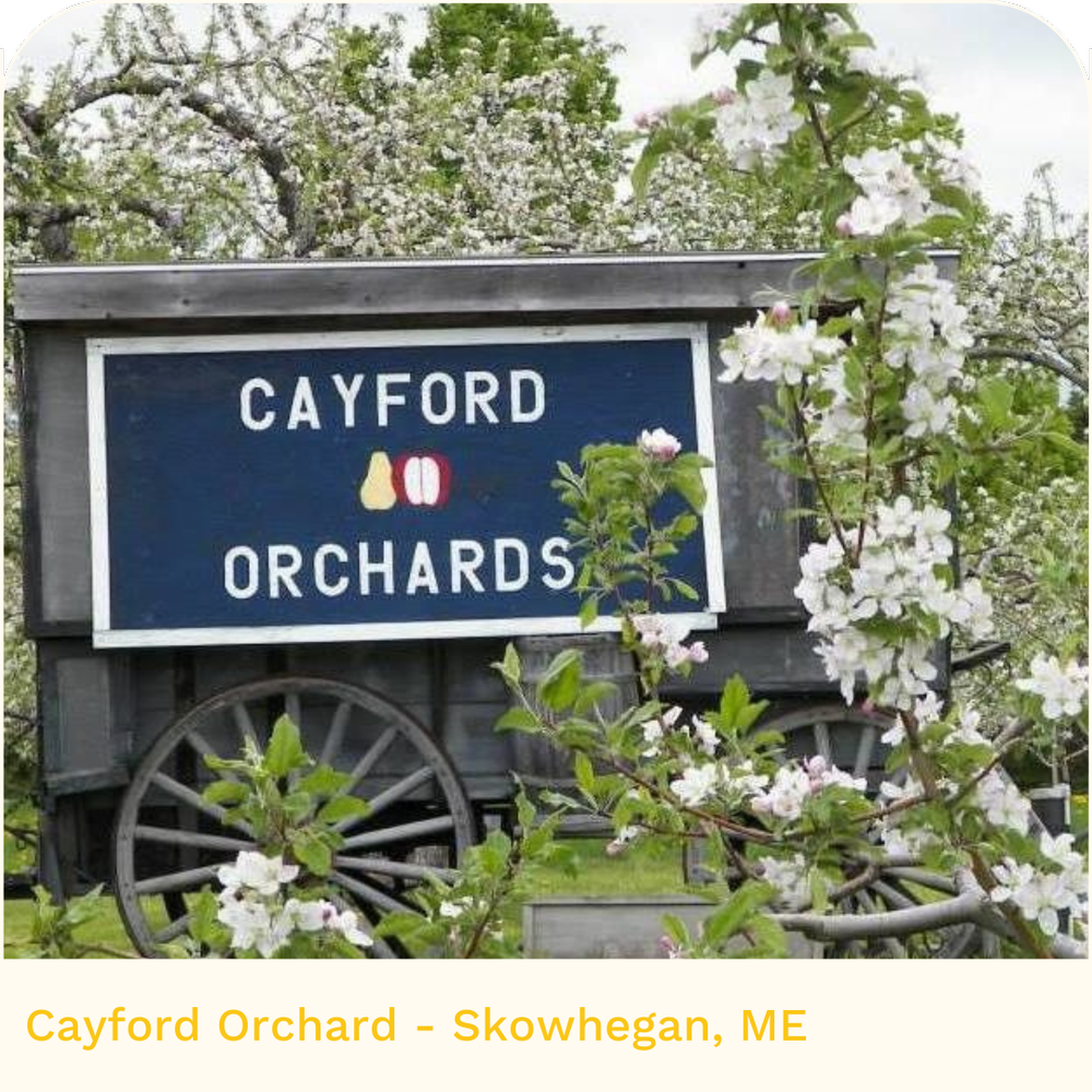 Cayford Orchard