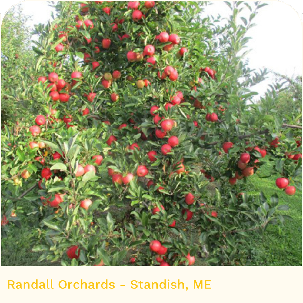 Randall Orchards