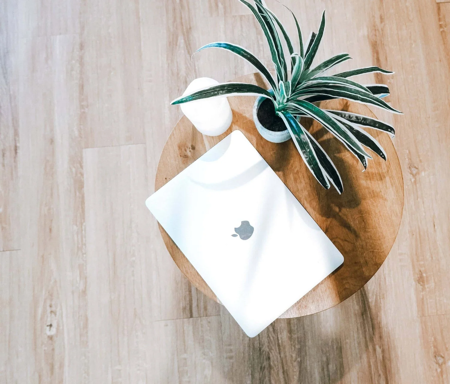 Laptop prepared for a telehealth nutrition counseling session beside a plant and candle