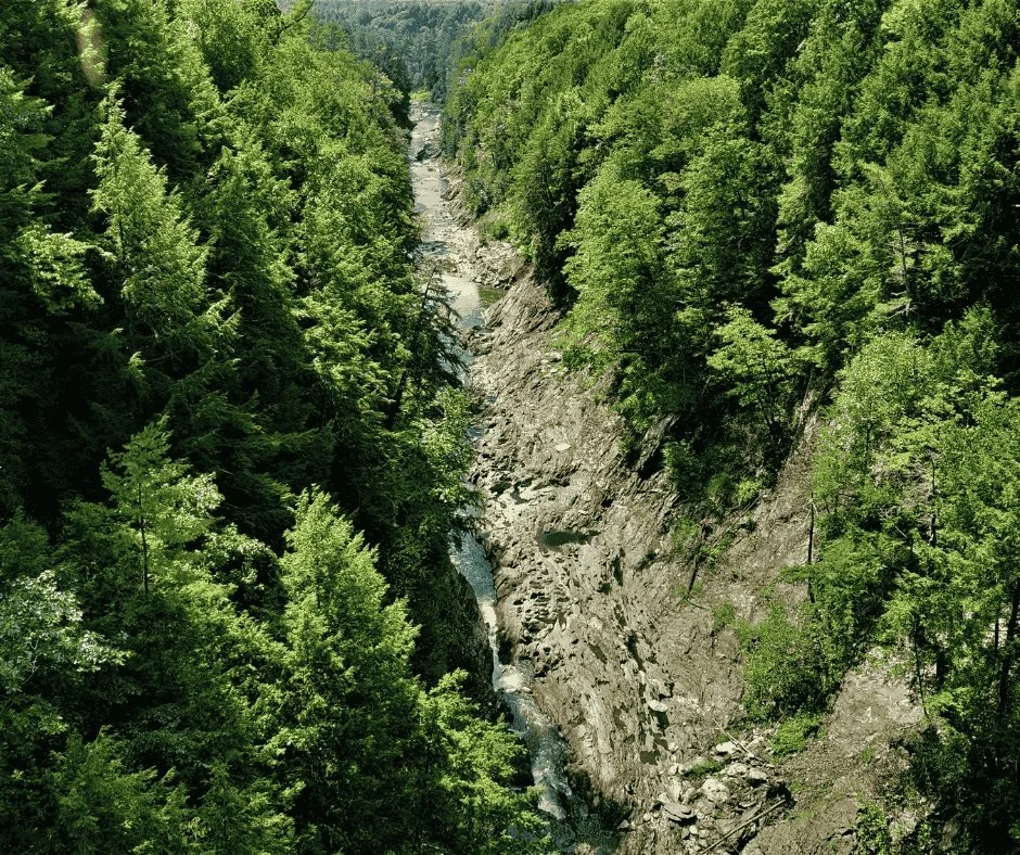 Scenic Vermont forest gorge with flowing river and rocky cliffs