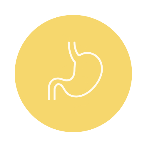 Nutrition for Bloating, gut health, symptom relief, and everyday nourishment