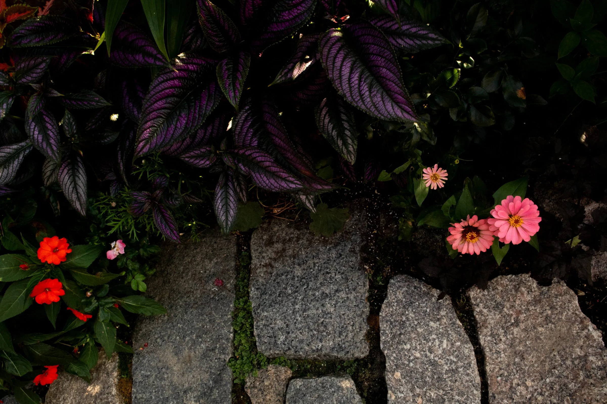 Marthas.Vineyard-9.jpg