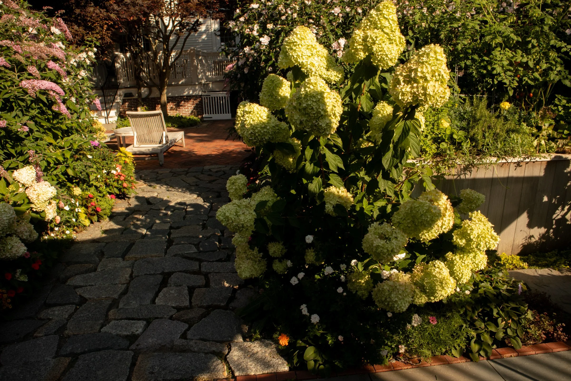 Marthas.Vineyard-17.jpg