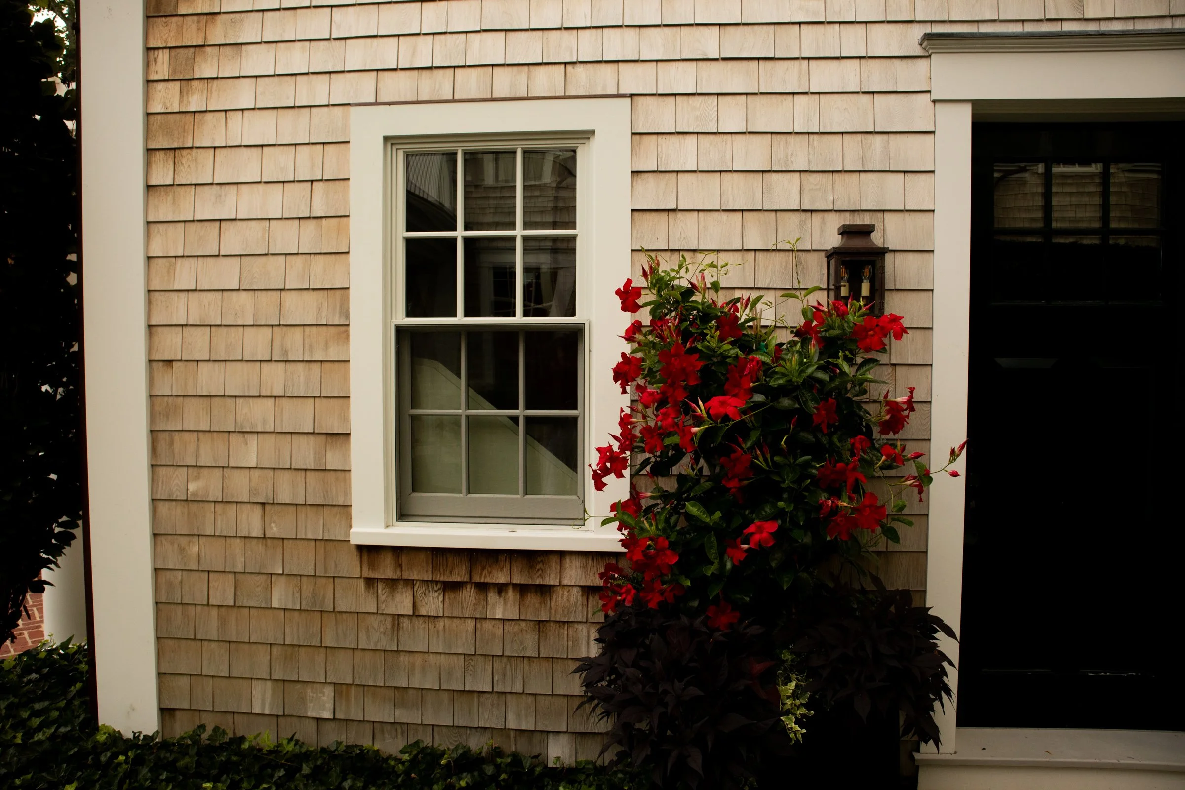 Marthas.Vineyard-4.jpg