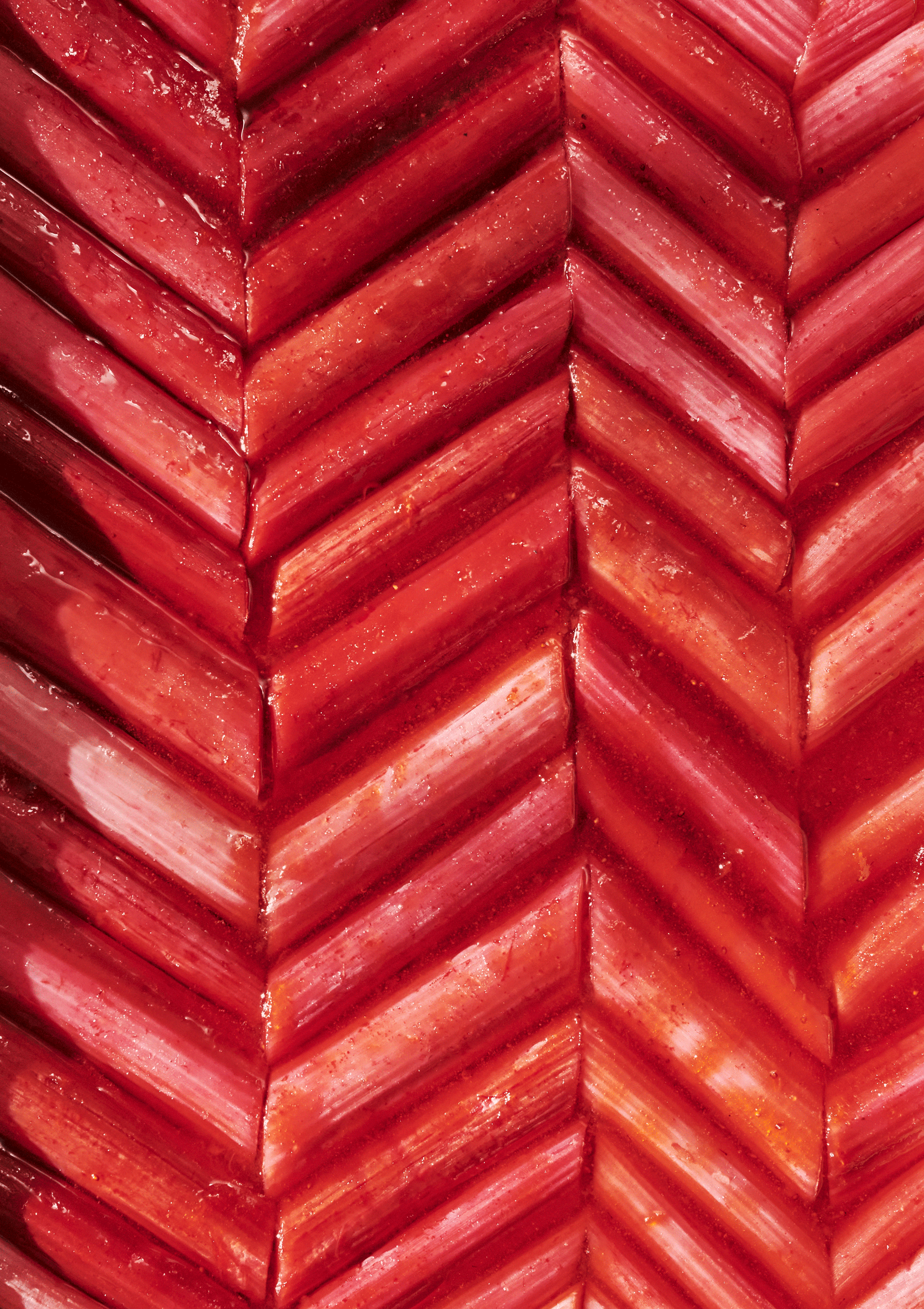 Strawberry_Rhubarb_Tart.png