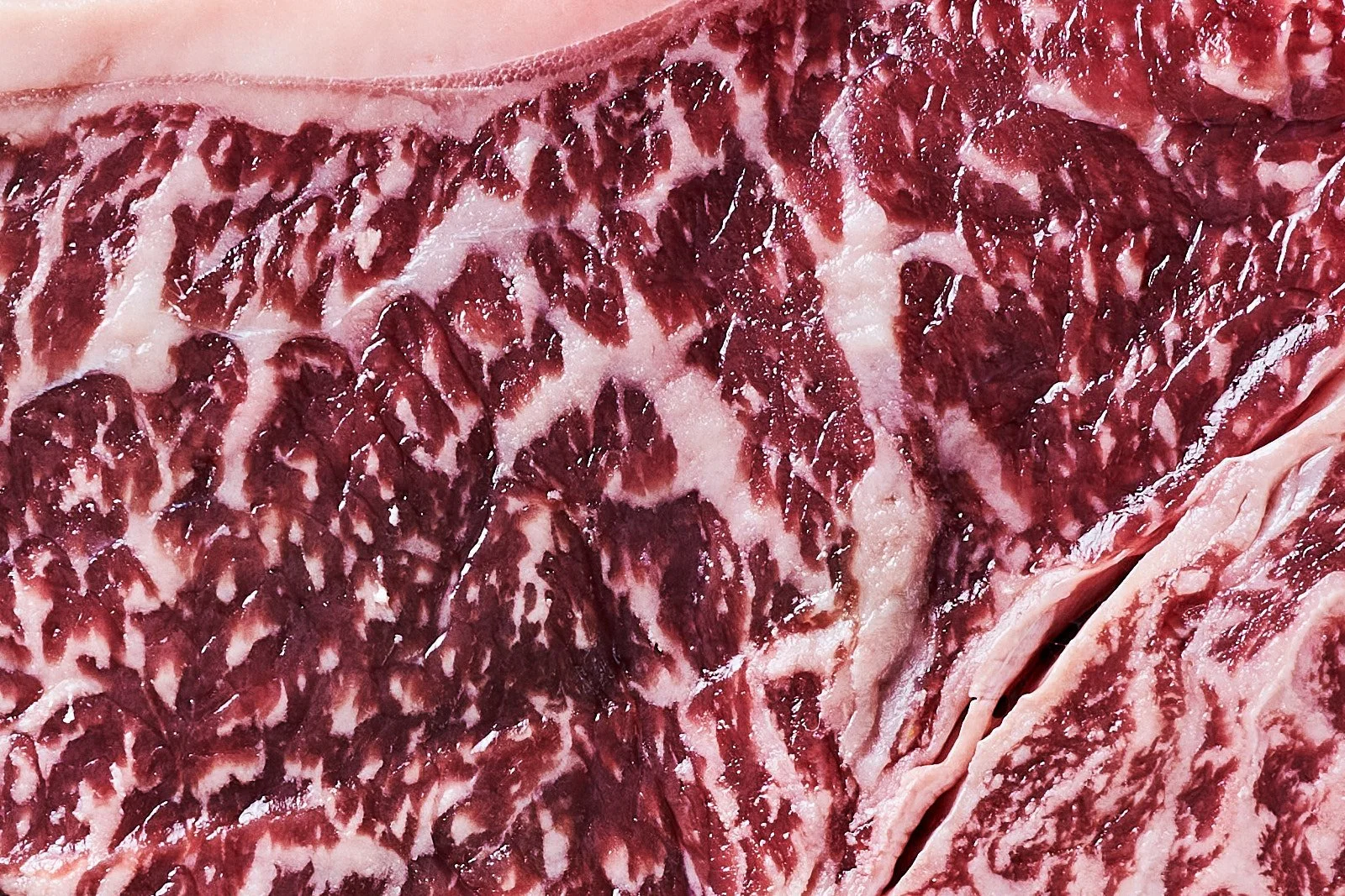 Beef test_1_Wagyu_03.12.2025_group_NYSteakTexture_113816.jpg