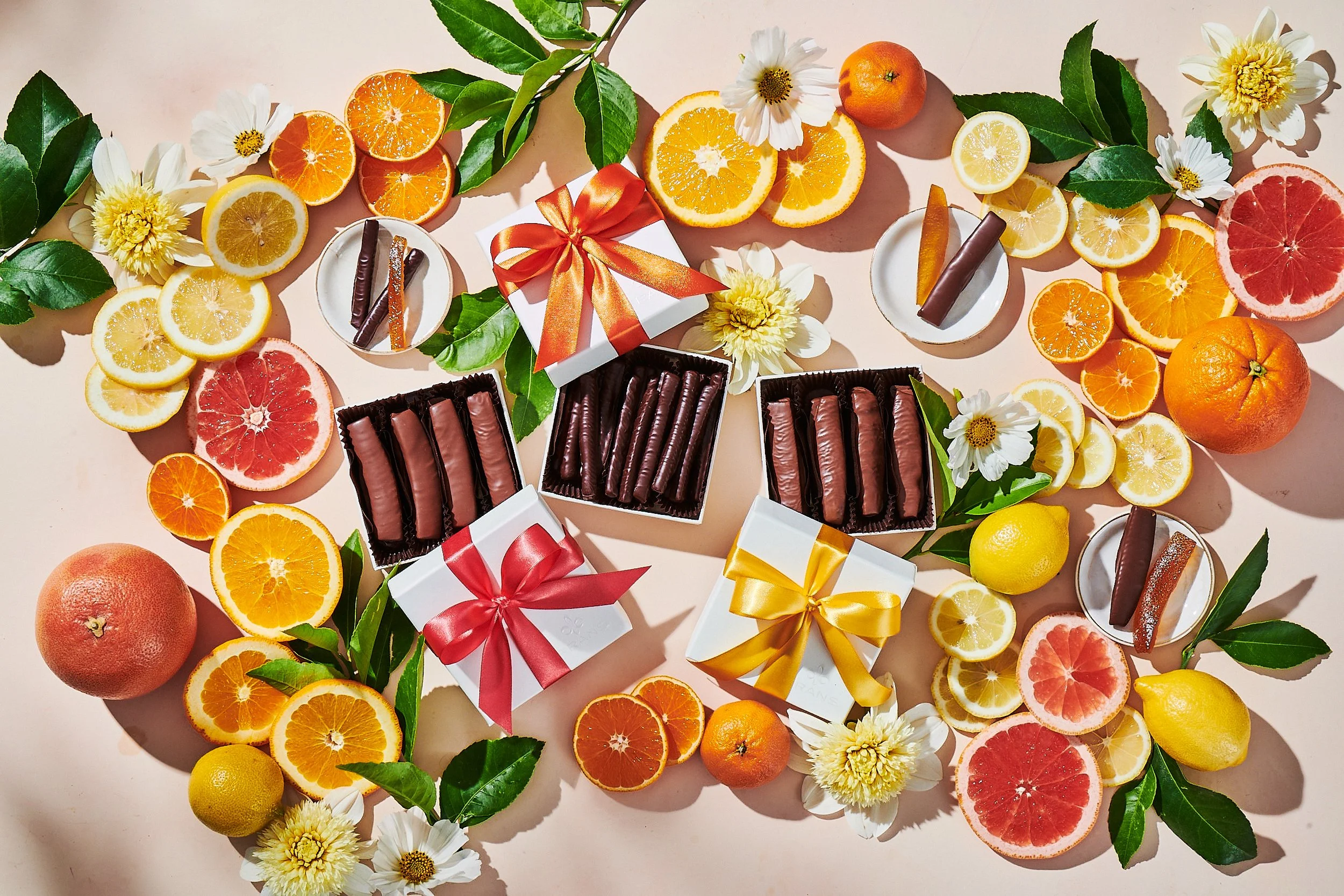 Citrus_Collection_1_55037.jpg