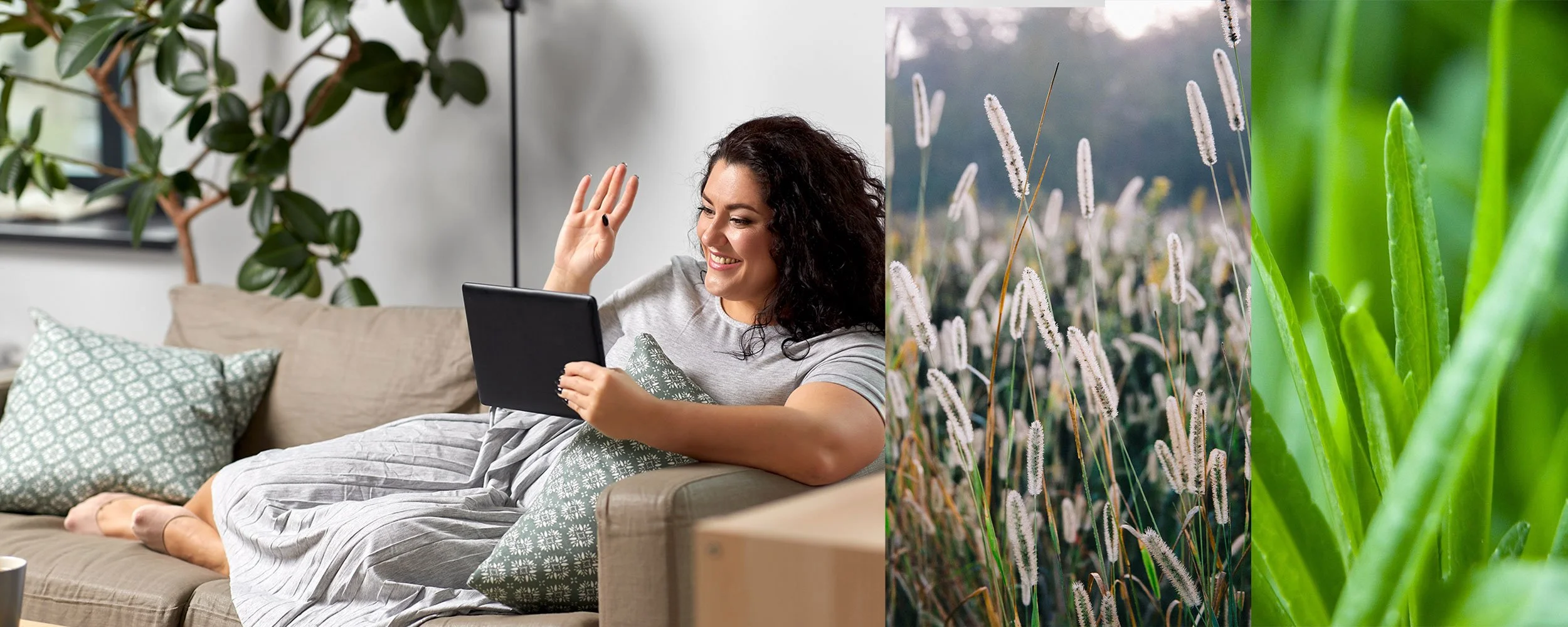 Telehealth Services