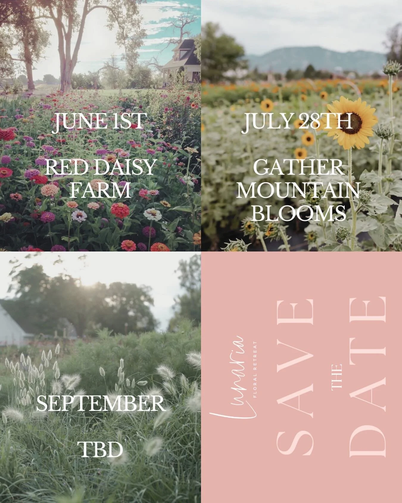 Save the date(s) everyone! Florists, freelancers, photographers, planners - all are welcome! Info will be coming soon! 

Send me a DM if you want to get in the list to find out all the deets before everyone else!

#lunariaretreat #weddingprofessional