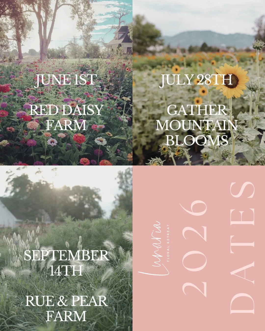 Announcing our 3rd workshop date!

Monday, September 14th in Loveland
@rueandpear
@mjmdesignsllc

This will be a special day to reset and renew. I want you to decompress from the summer season and feel refresh and ready to tackle the fall season. ALL