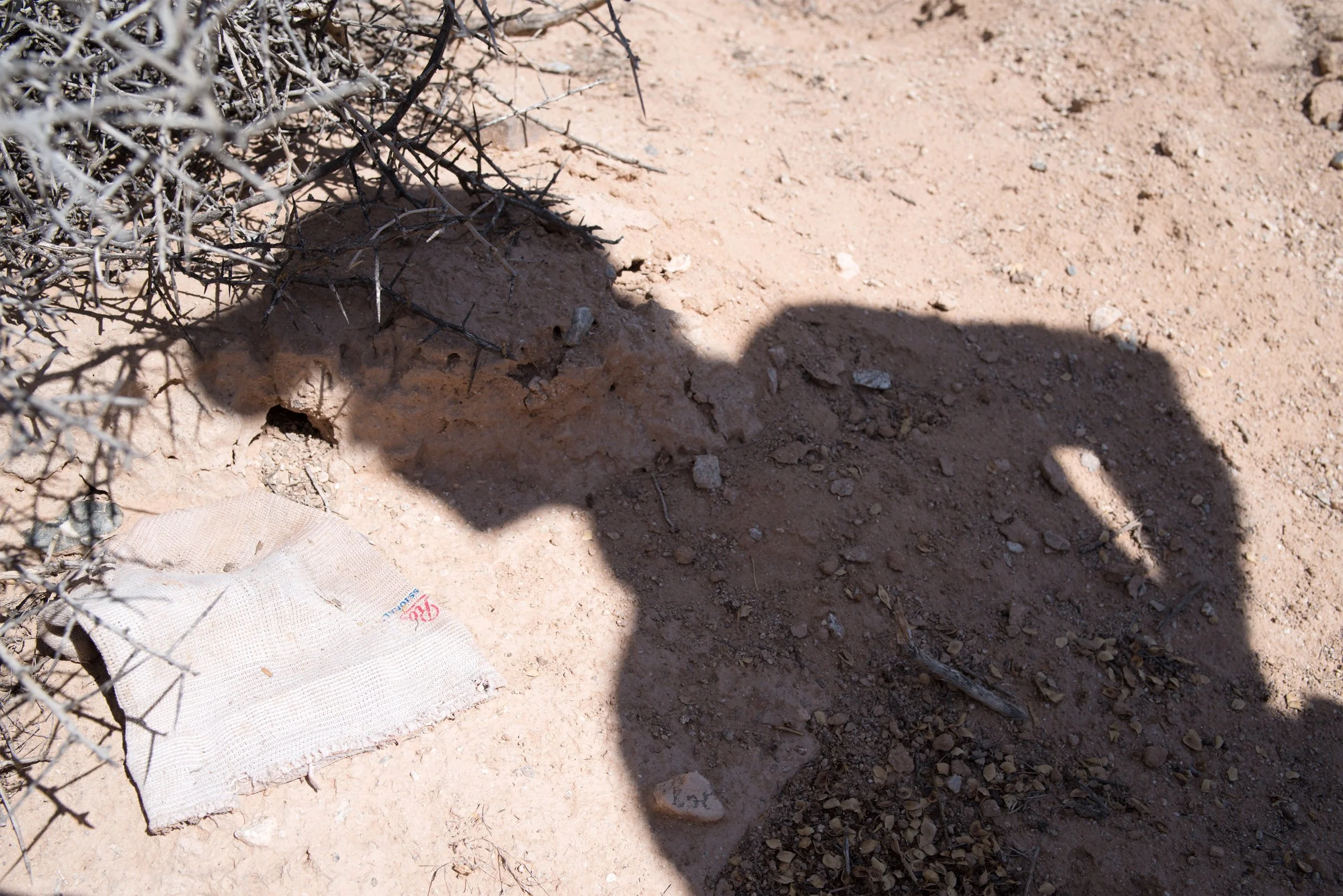  This hat, found near Ajo, Arizona, belonged to an unknown migrant. 