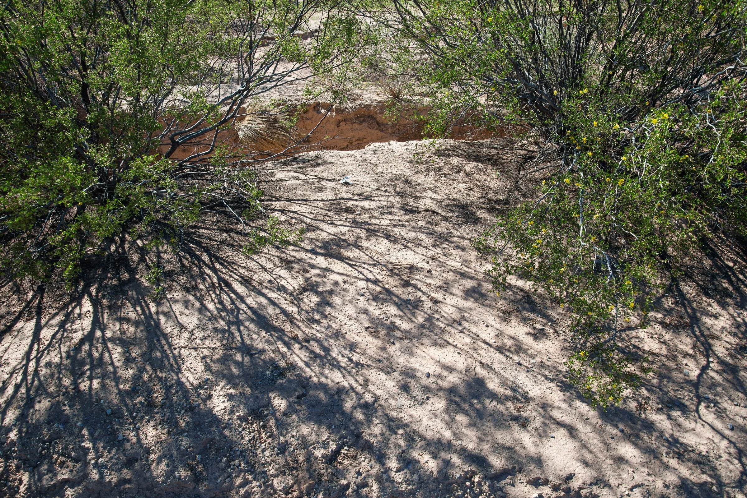  Justino Mendez Ramos, age 45, died here, probably of hypothermia due to exposure. 