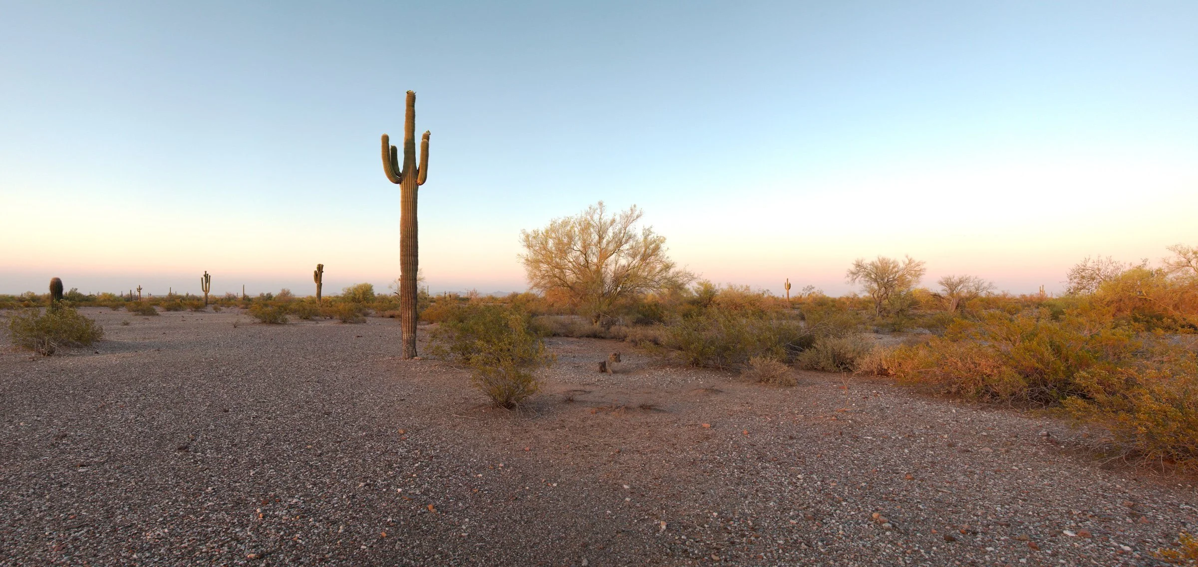  An unidentified male migrant died here, probably from exposure, in the Sonoran Desert National Monument, about two miles from Route 8. 